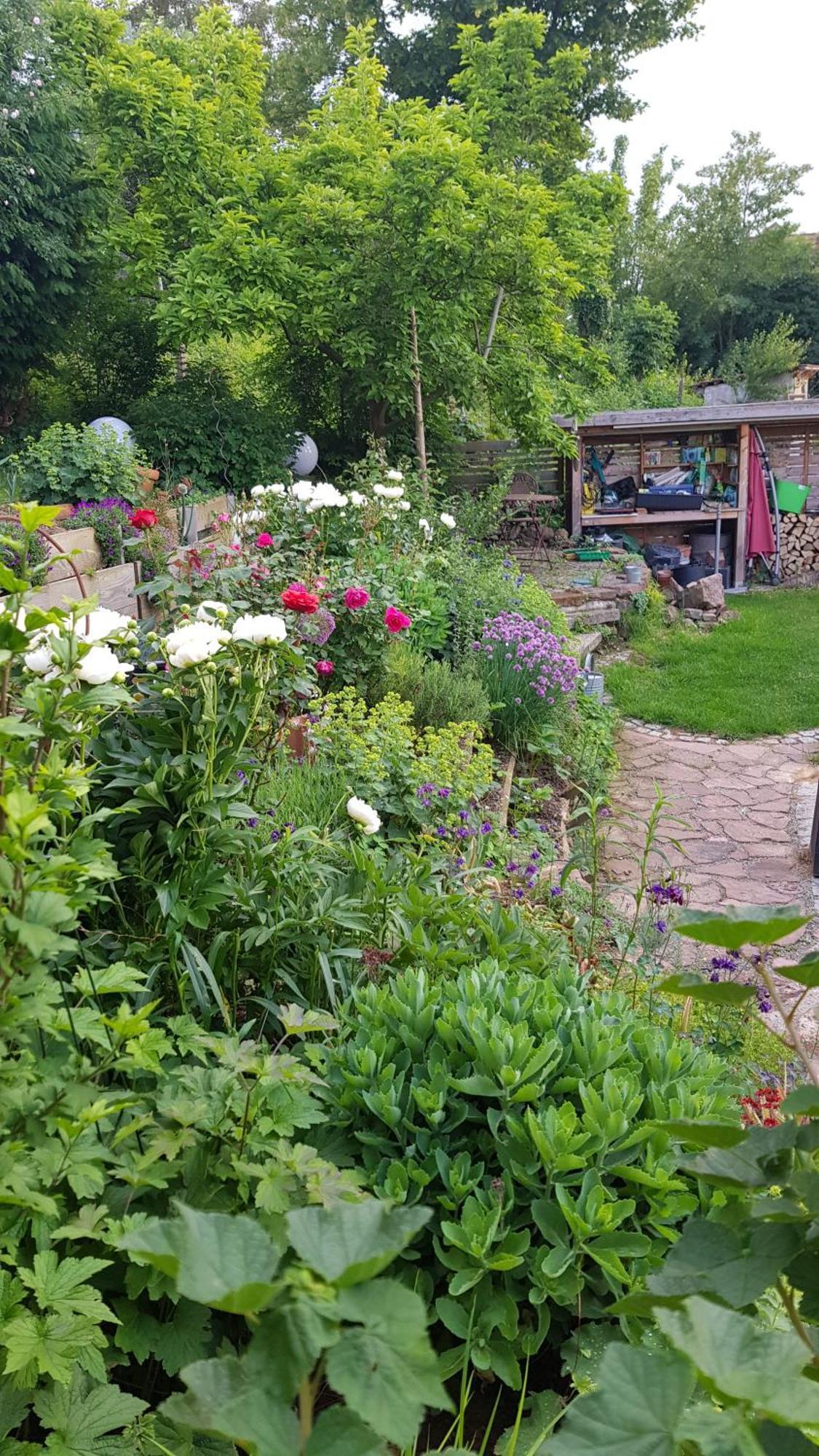 Wohnung Mit Sauna, Garten & Schwimmteich บีทิกไฮม์-บิสซิงเงน ภายนอก รูปภาพ