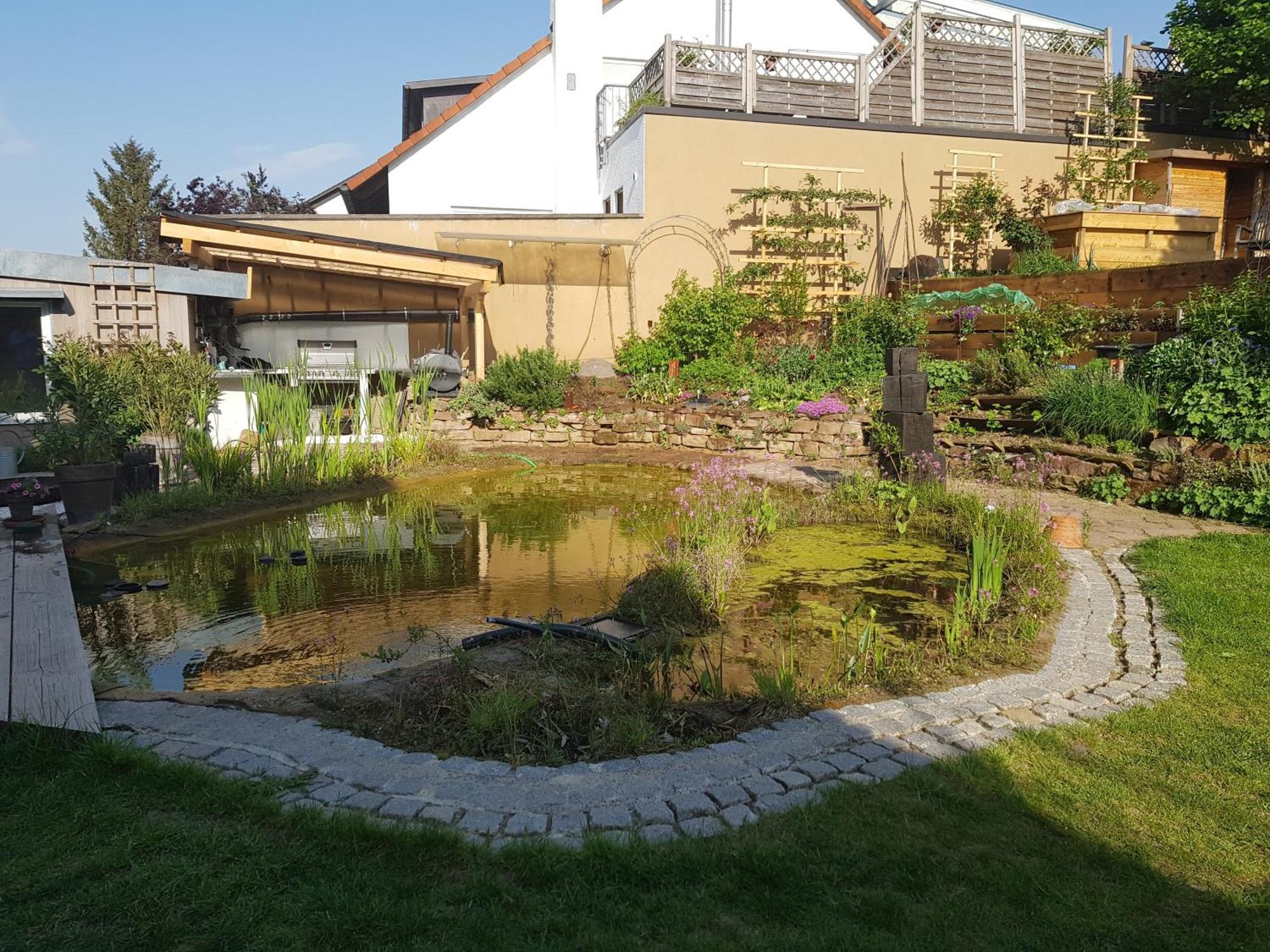 Wohnung Mit Sauna, Garten & Schwimmteich บีทิกไฮม์-บิสซิงเงน ภายนอก รูปภาพ