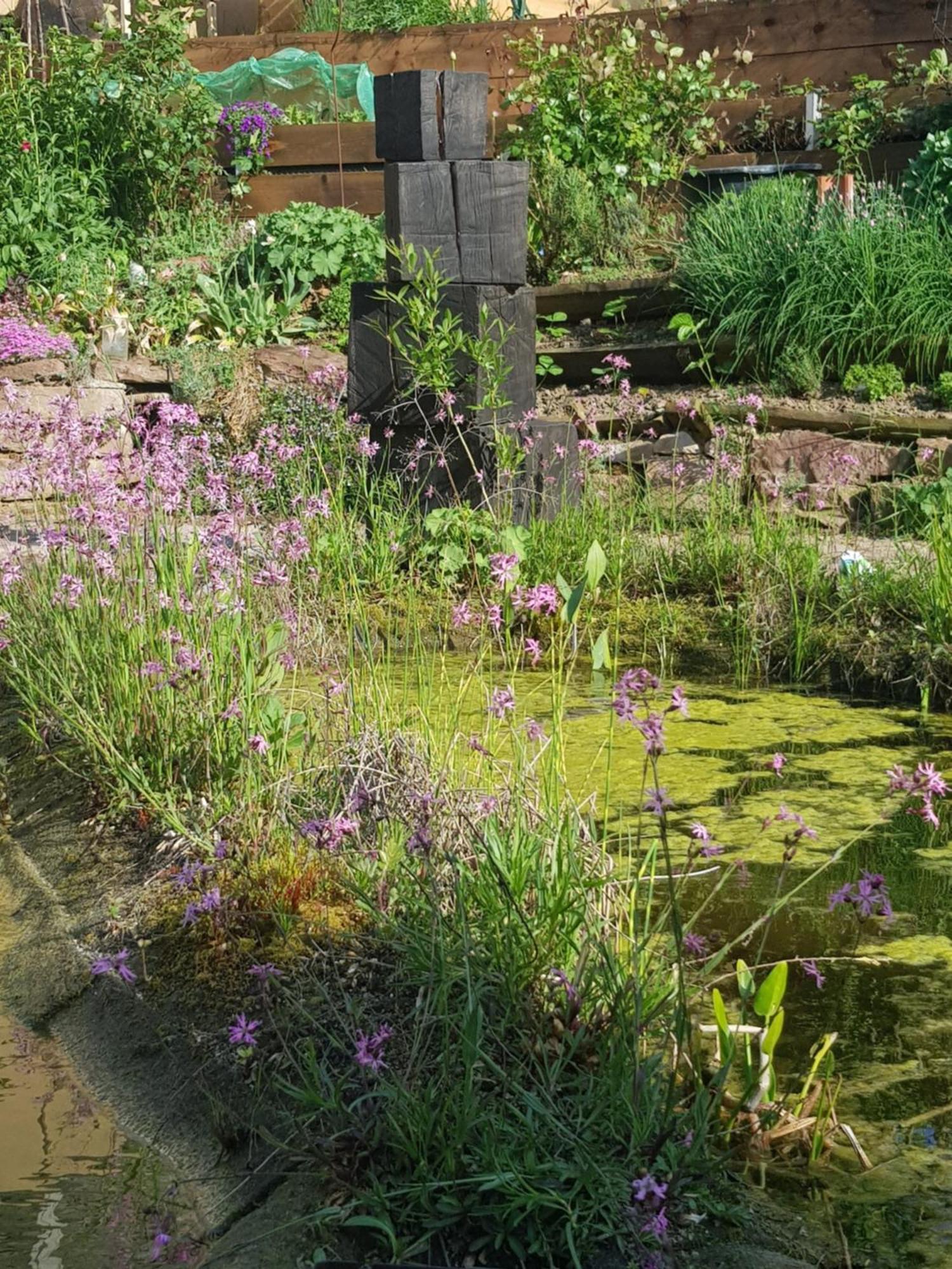 Wohnung Mit Sauna, Garten & Schwimmteich บีทิกไฮม์-บิสซิงเงน ภายนอก รูปภาพ