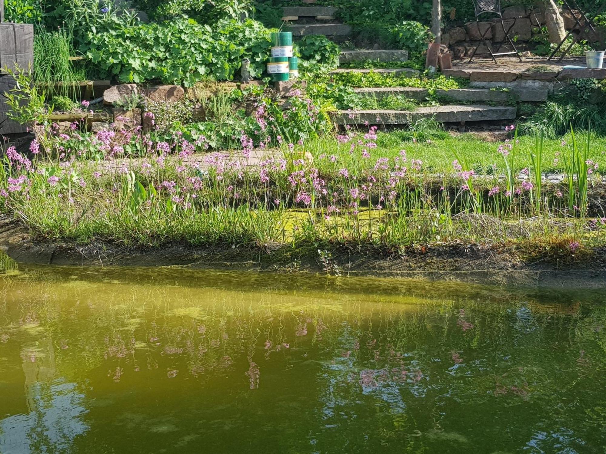 Wohnung Mit Sauna, Garten & Schwimmteich บีทิกไฮม์-บิสซิงเงน ภายนอก รูปภาพ