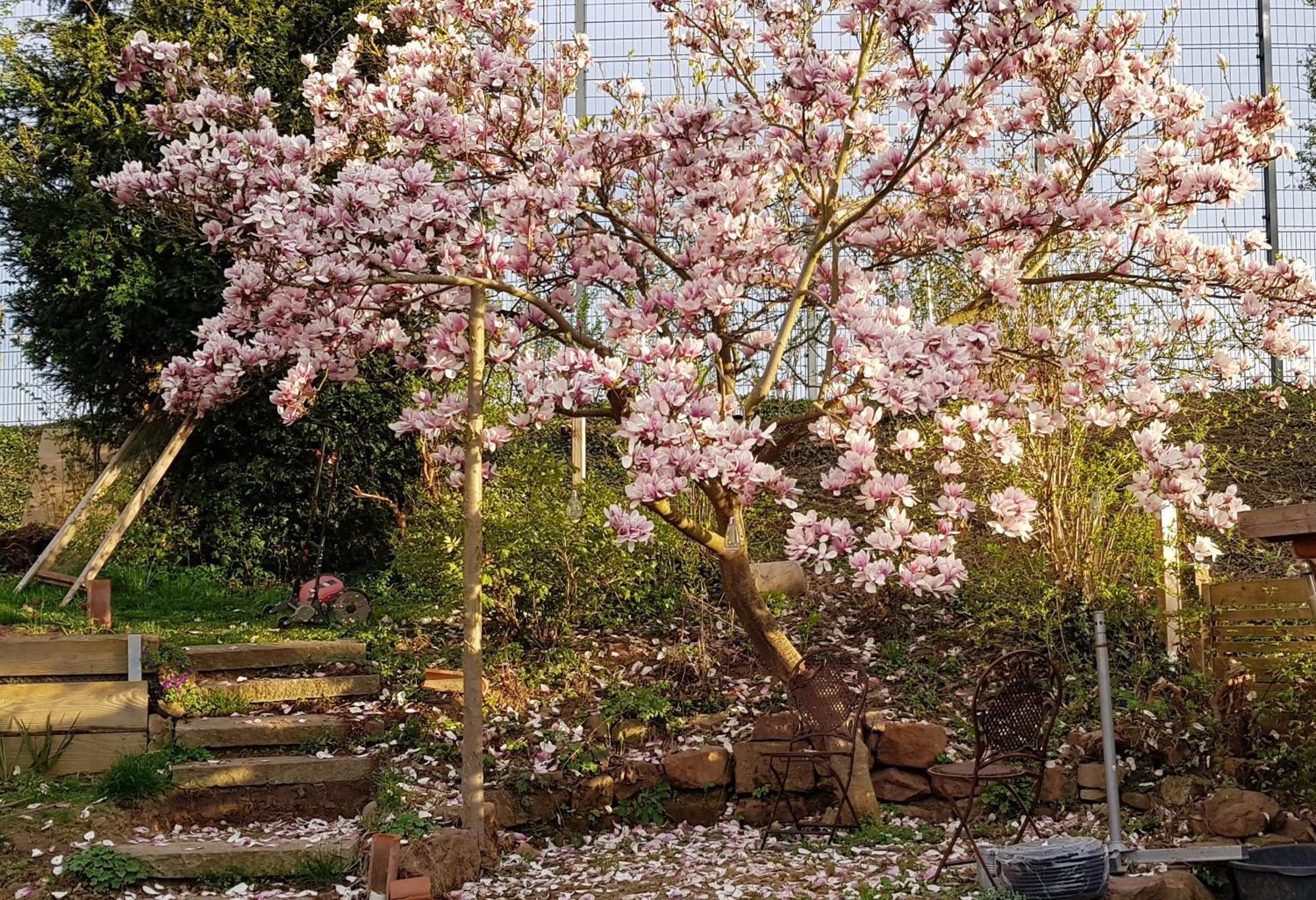 Wohnung Mit Sauna, Garten & Schwimmteich บีทิกไฮม์-บิสซิงเงน ภายนอก รูปภาพ