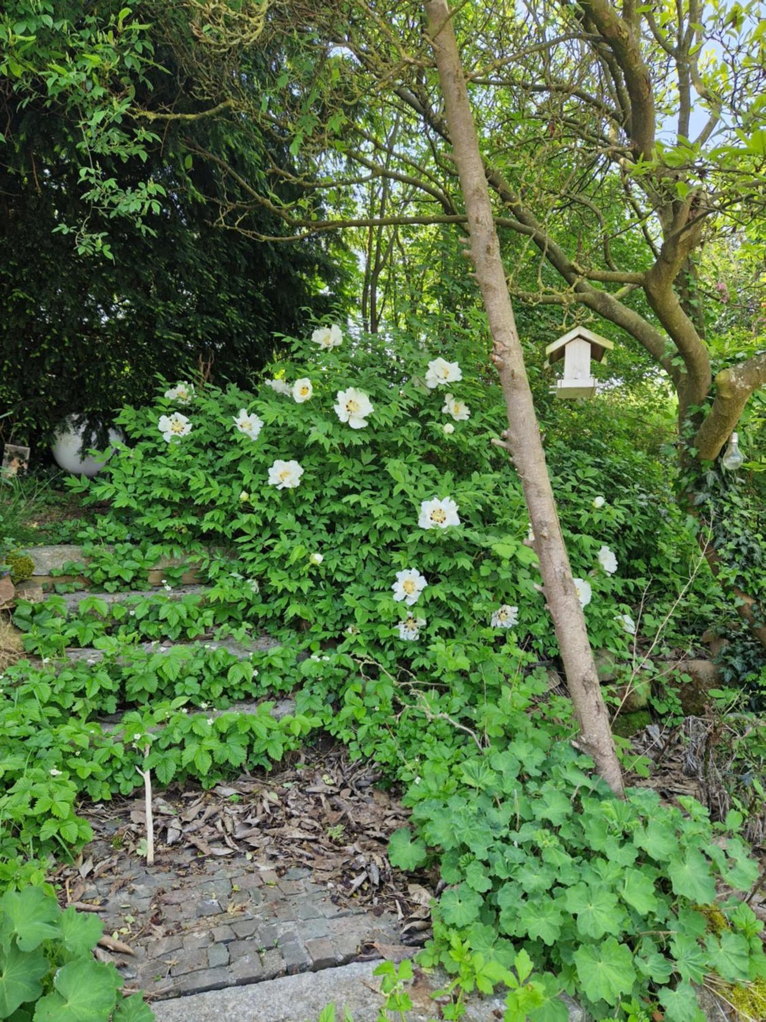 Wohnung Mit Sauna, Garten & Schwimmteich บีทิกไฮม์-บิสซิงเงน ภายนอก รูปภาพ